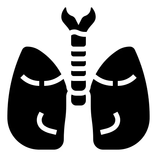Lungs