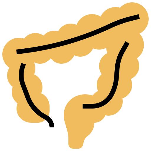 Large intestine