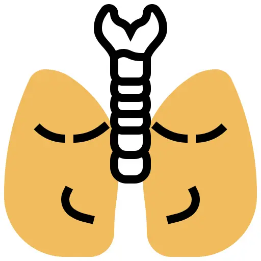 Lung