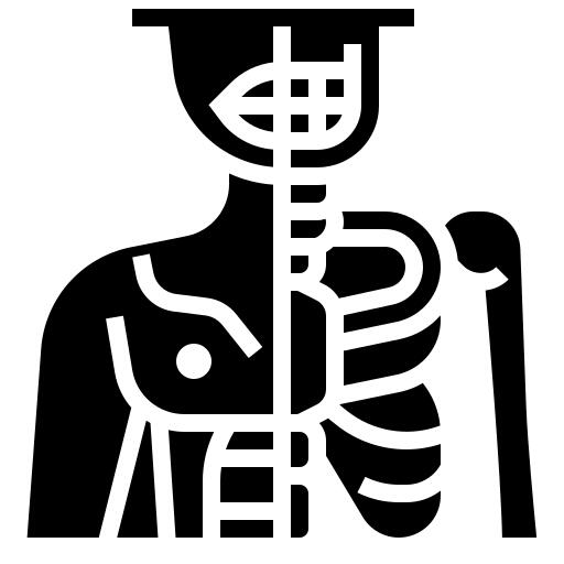 人体