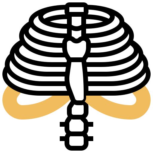 胸部
