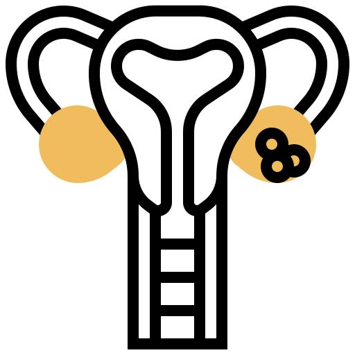 Uterus