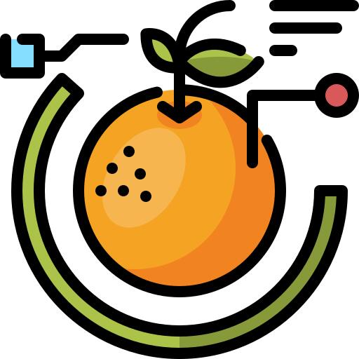 橙子