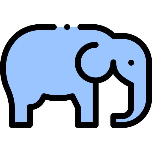 象