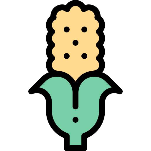 Corn