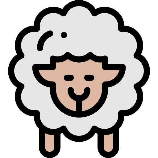 Sheep