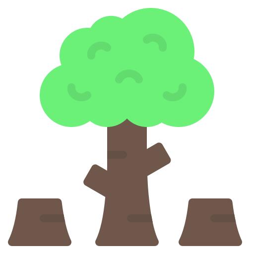 Deforestation