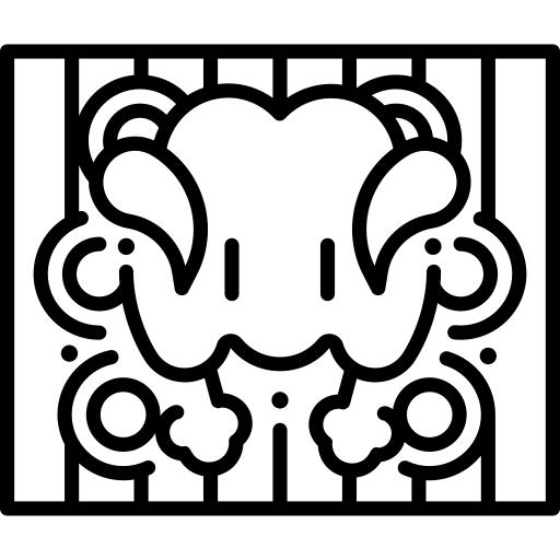 鸡