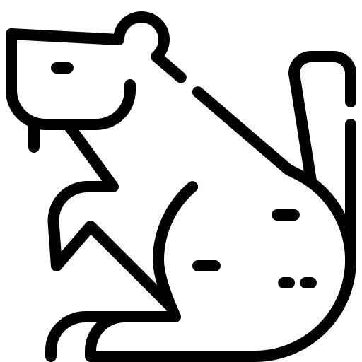 海狸