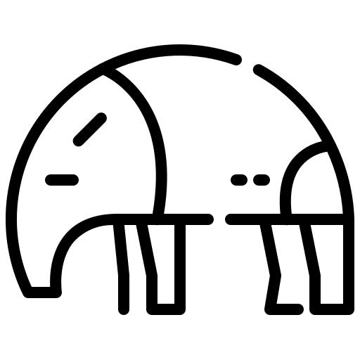 Anteater