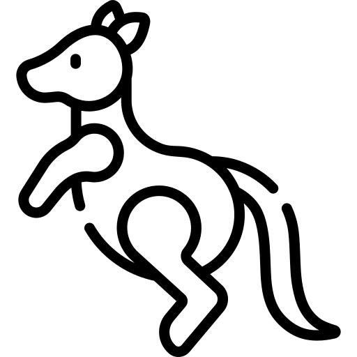 袋鼠