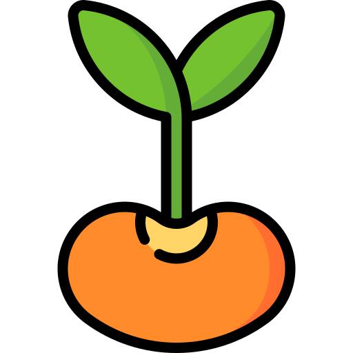 Seed