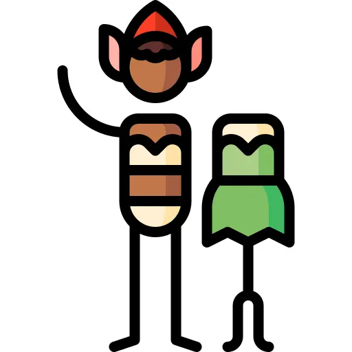 Costume