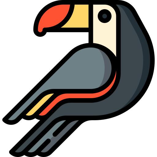 Toucan