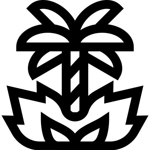 火