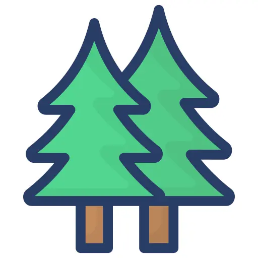 Pine tree