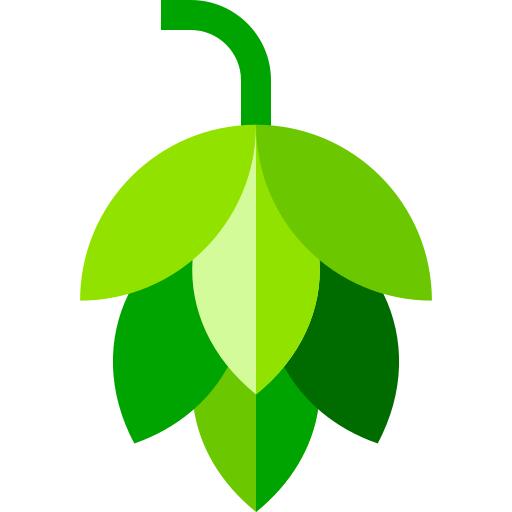 Hop