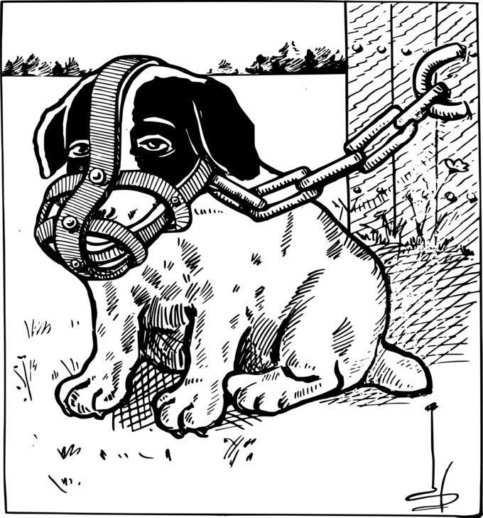 Muzzled dog