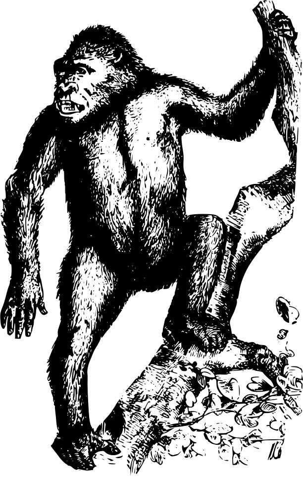 Gorilla in vintage style