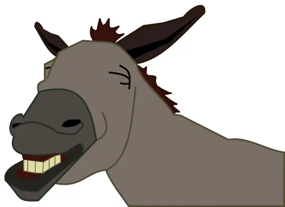 Donkey smiling vector image