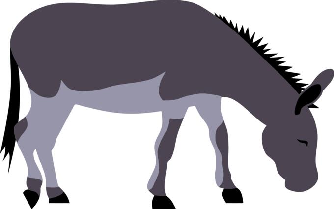 Pasturing jackass