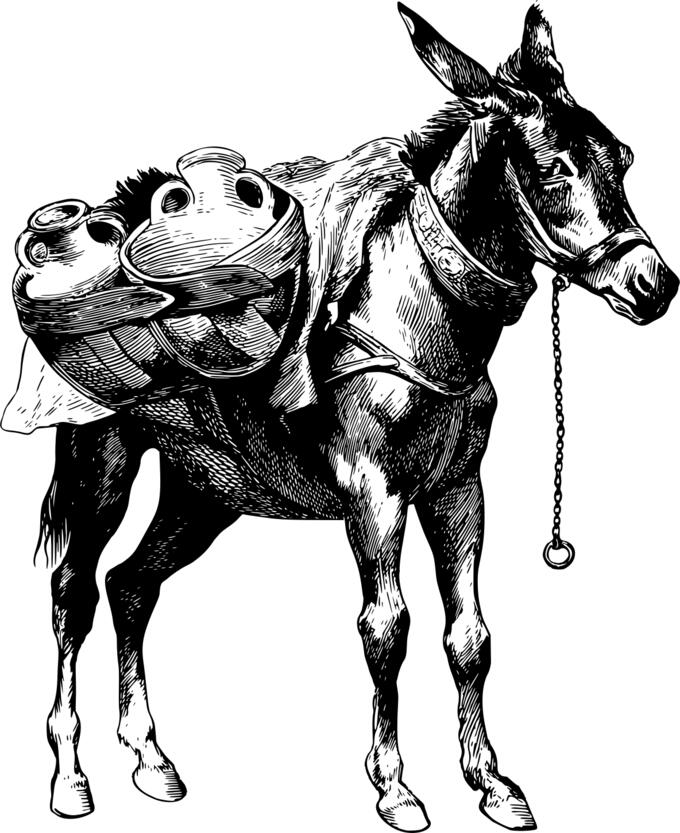 Mule with burden
