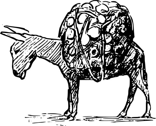 Overloaded donkey