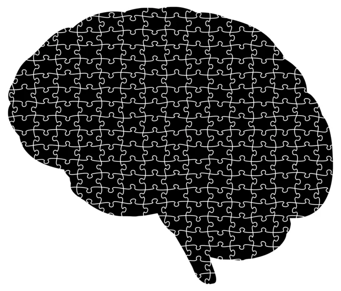 Brain puzzle silhouette