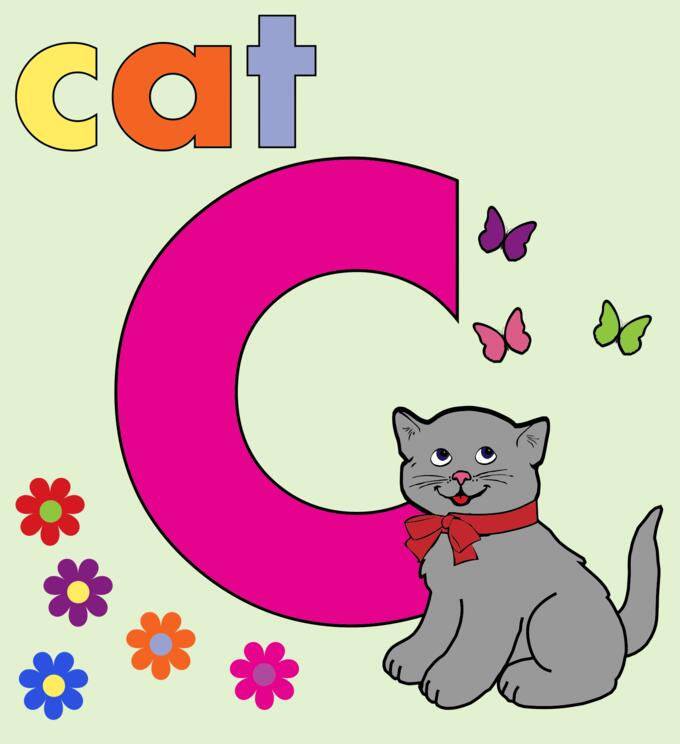 Cat with alphabet letter C