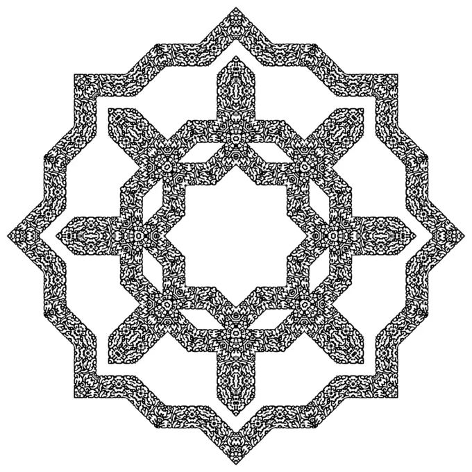 Starry and flowery frame