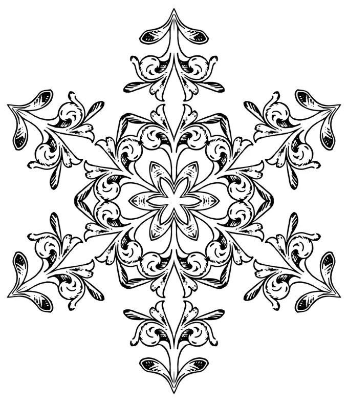 Floral snowflake vector image