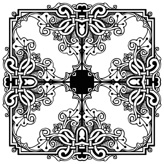 Floral frame in black and white image