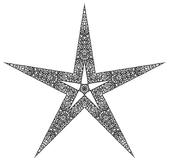 Floral star in black and white vector image