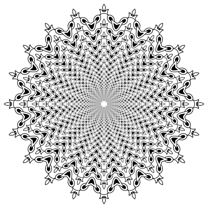 Floral mandala vector image