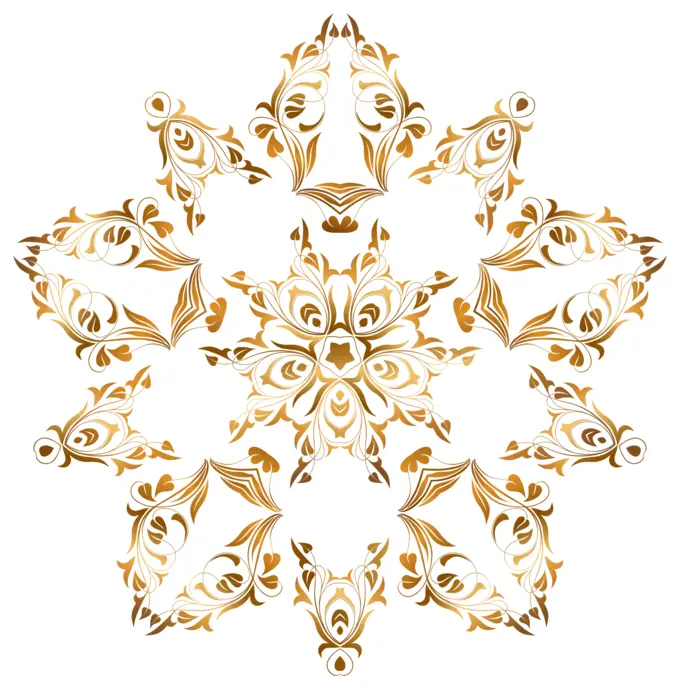Golden floral star vector image
