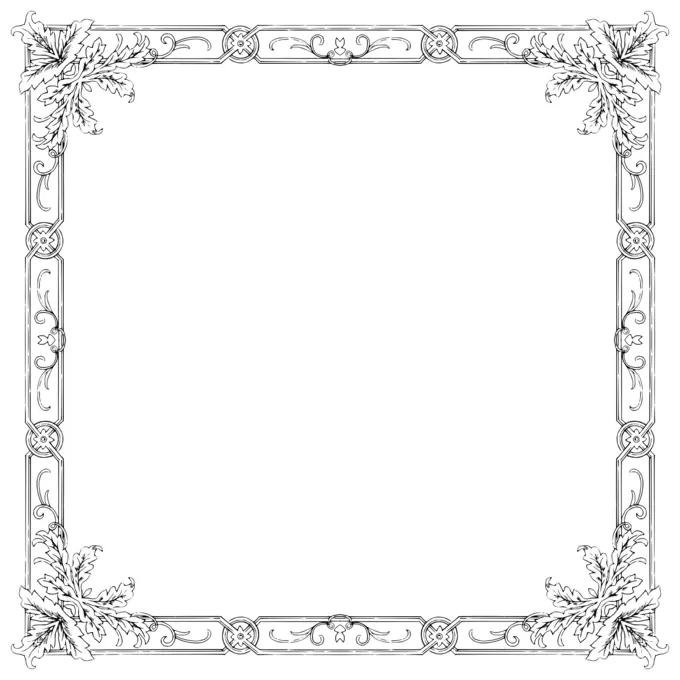 Photography vector frame