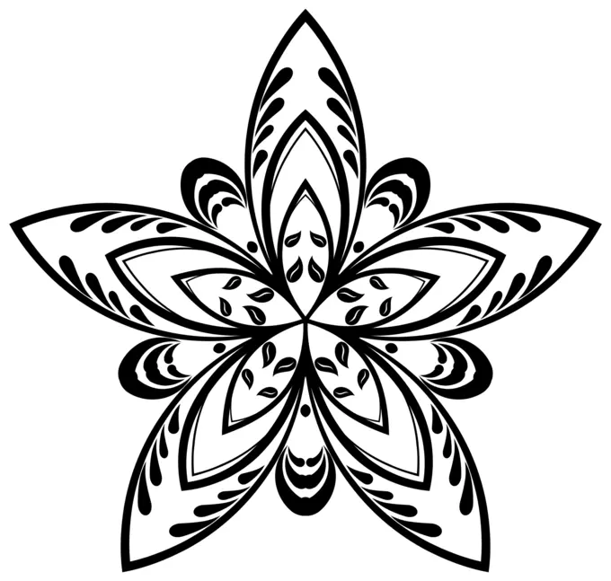 Flower star silhouette