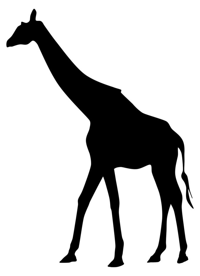Giraffe vector illustration