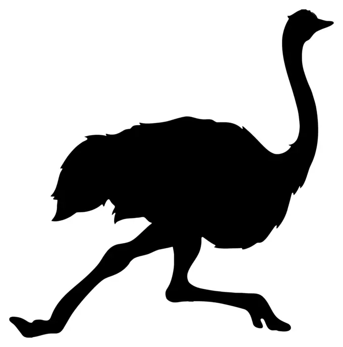 Running ostrich silhouette