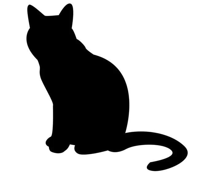 Black cat vector illustration