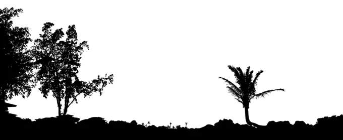 Maui sunset silhouette