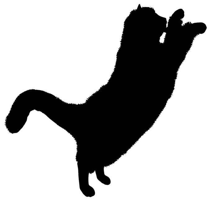 Fluffy cat vector silhouette