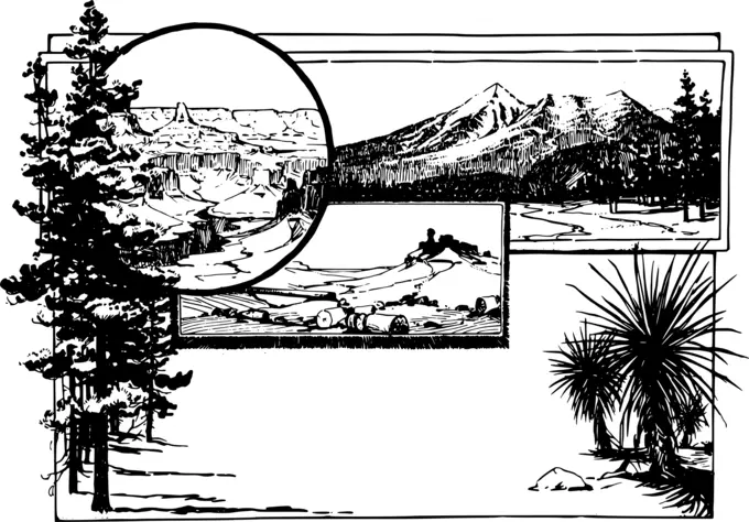 Nature scenes in monochrome