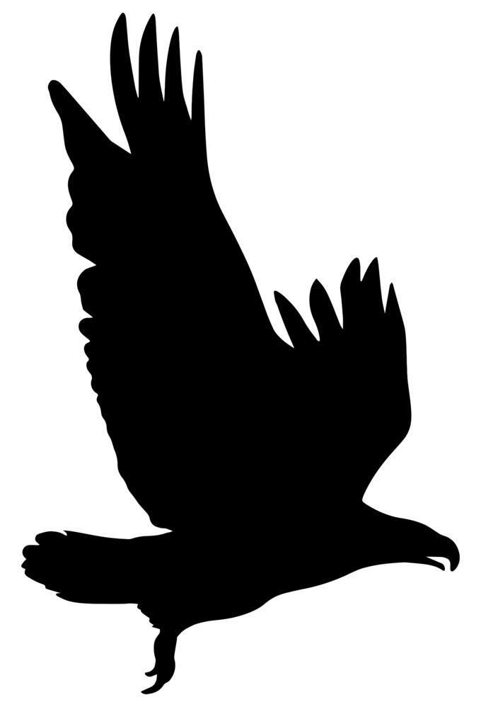 Flying bird vector silhouette