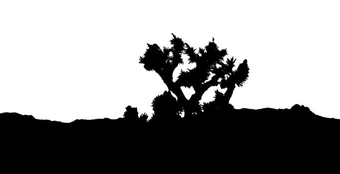 Joshua's tree landscape silhouette