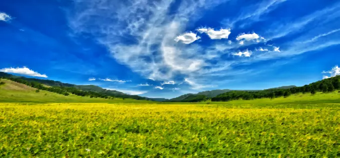 Spring meadow and blue sky