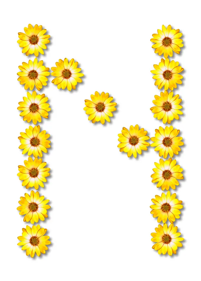 N floral letter