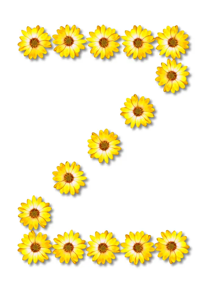 Letter Z in flowers