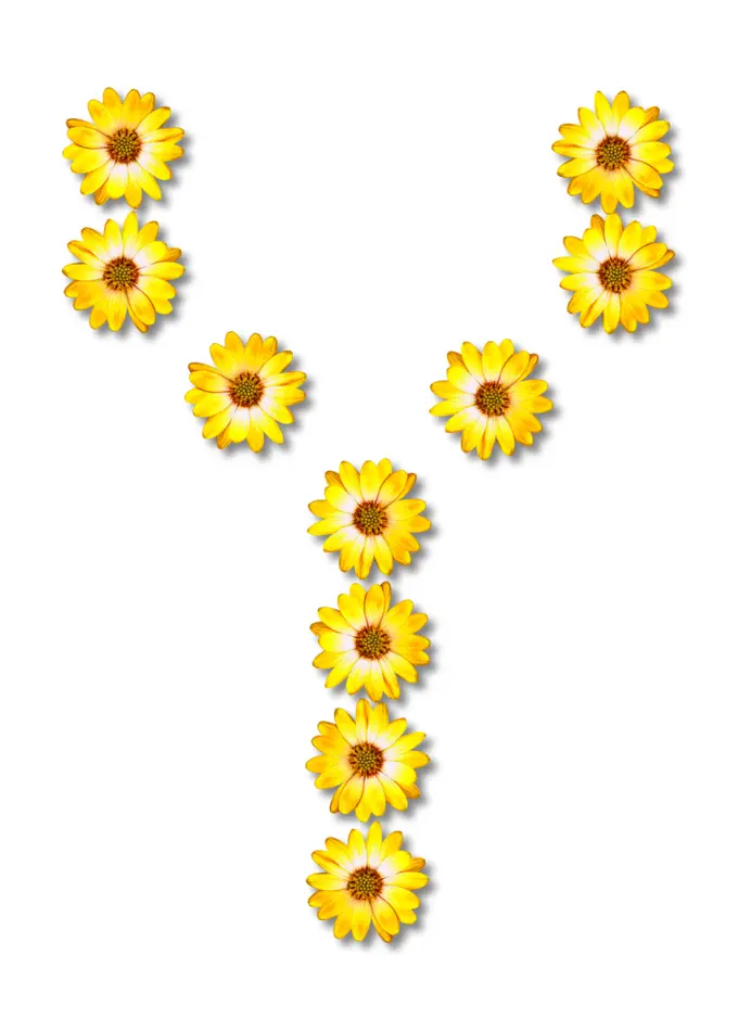 Floral letter Y