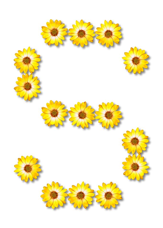 S made of flowers